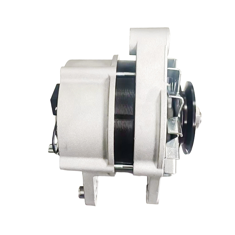 MG791 AAK4653 IA1616 11204629 72442837 AAK4653 12V 120A 8PK62mm Máy phát điện ISKRA / LETRIKA